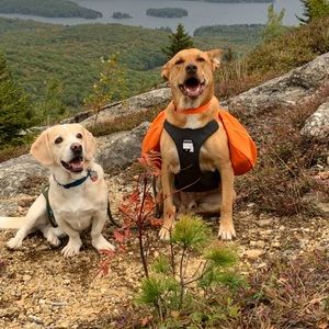 Meet your Posher, Paula